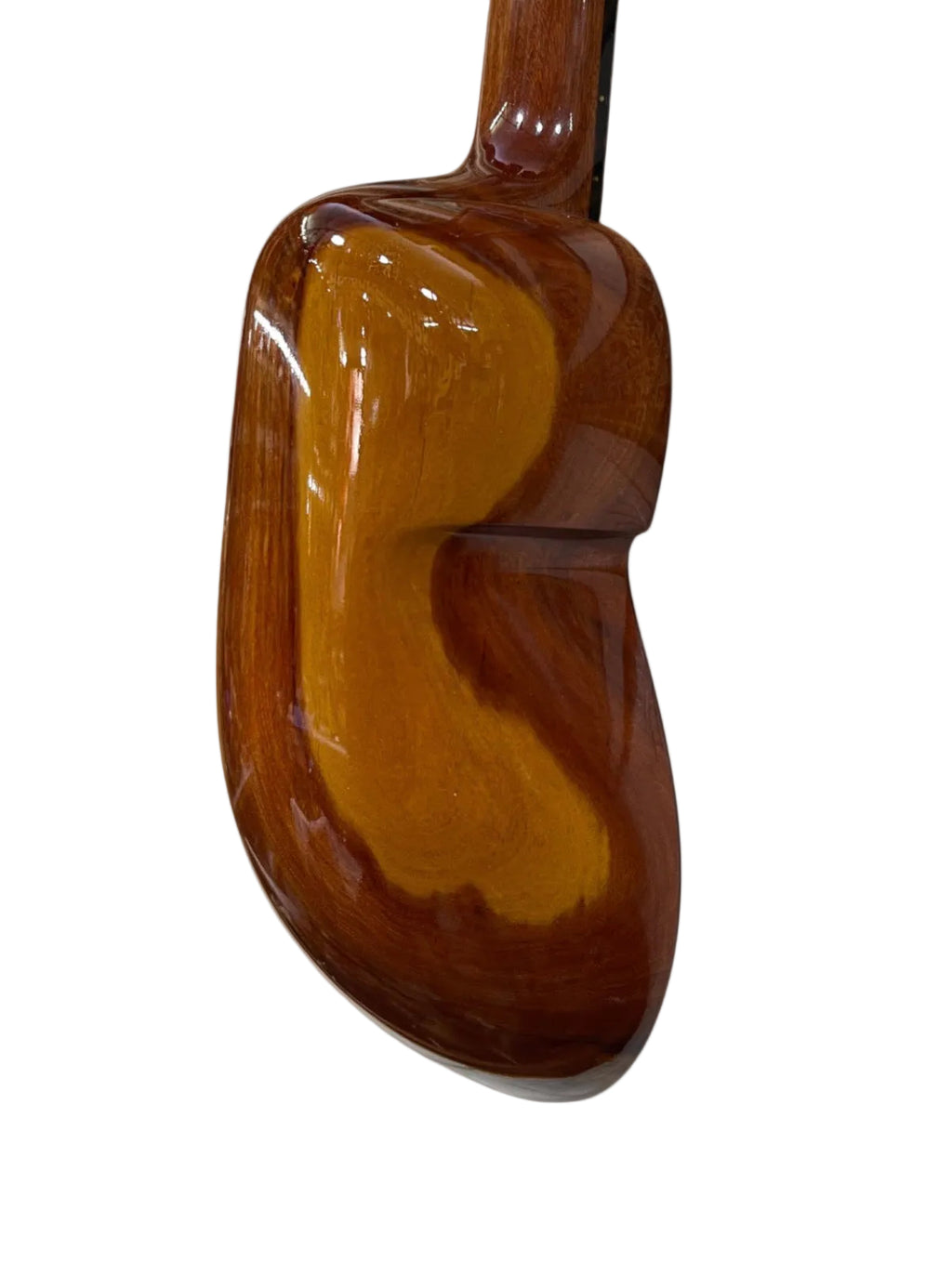 Professional Bolivian Charango – Quina Quina with Ebony Fingerboard