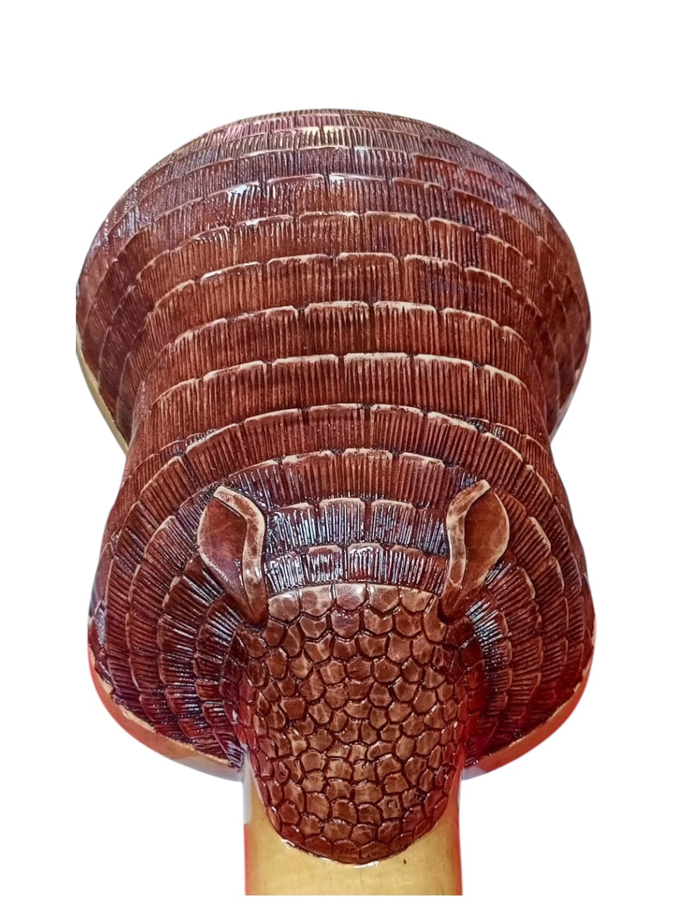 Armadillo Charango – Solid Naranjillo Wood Handmade Andean Instrument