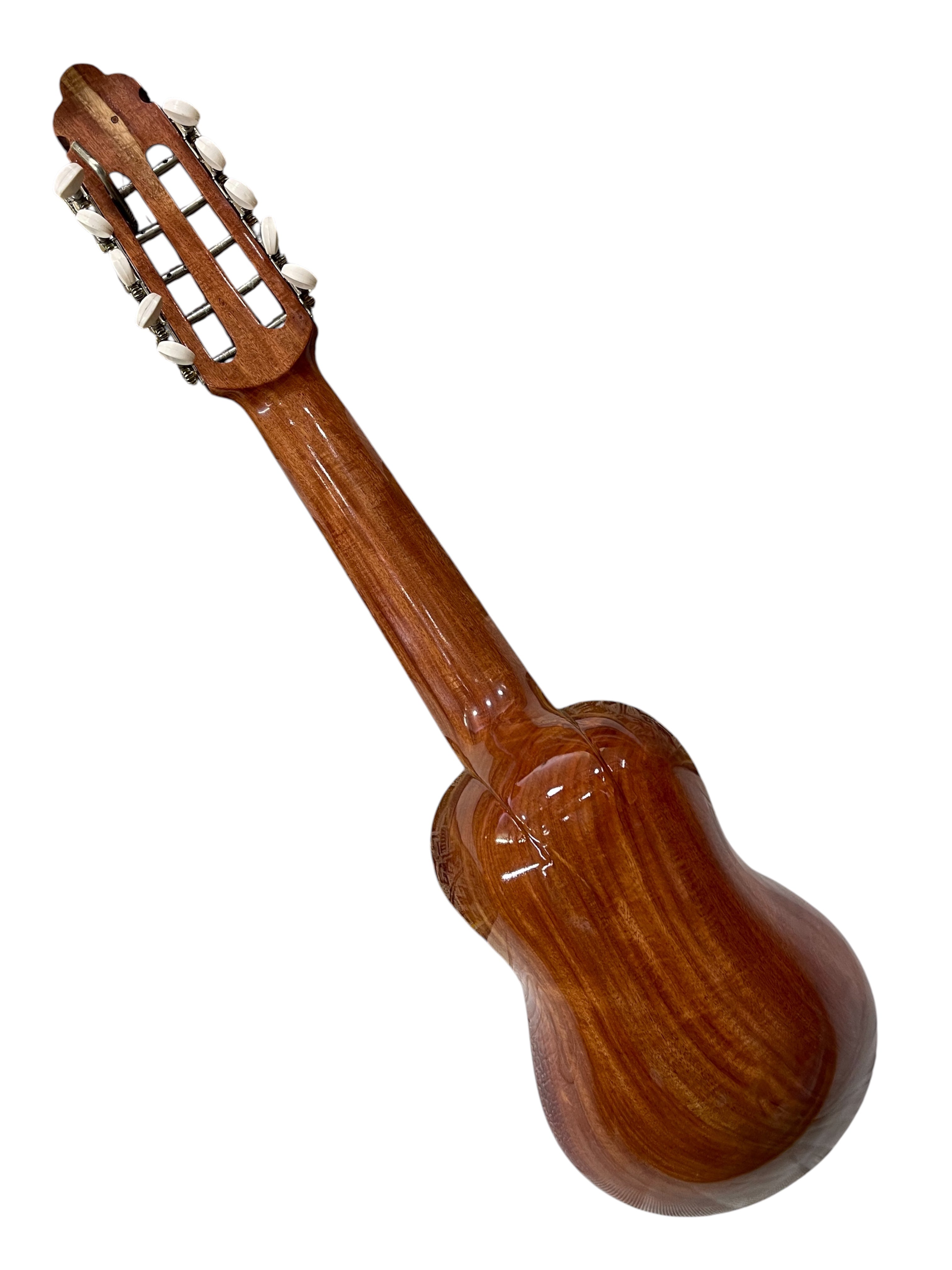 Professional Concert Charango | One-Piece Quina Quina, Ebony Fingerboard, Spruce Top