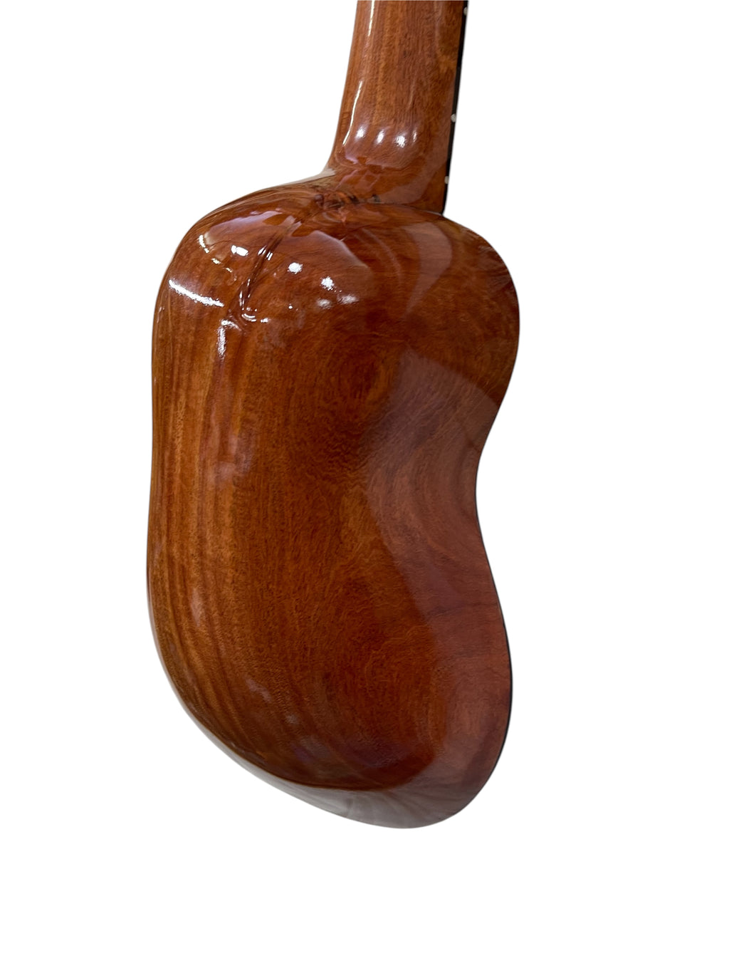 Professional Concert Charango | One-Piece Quina Quina, Ebony Fingerboard, Spruce Top