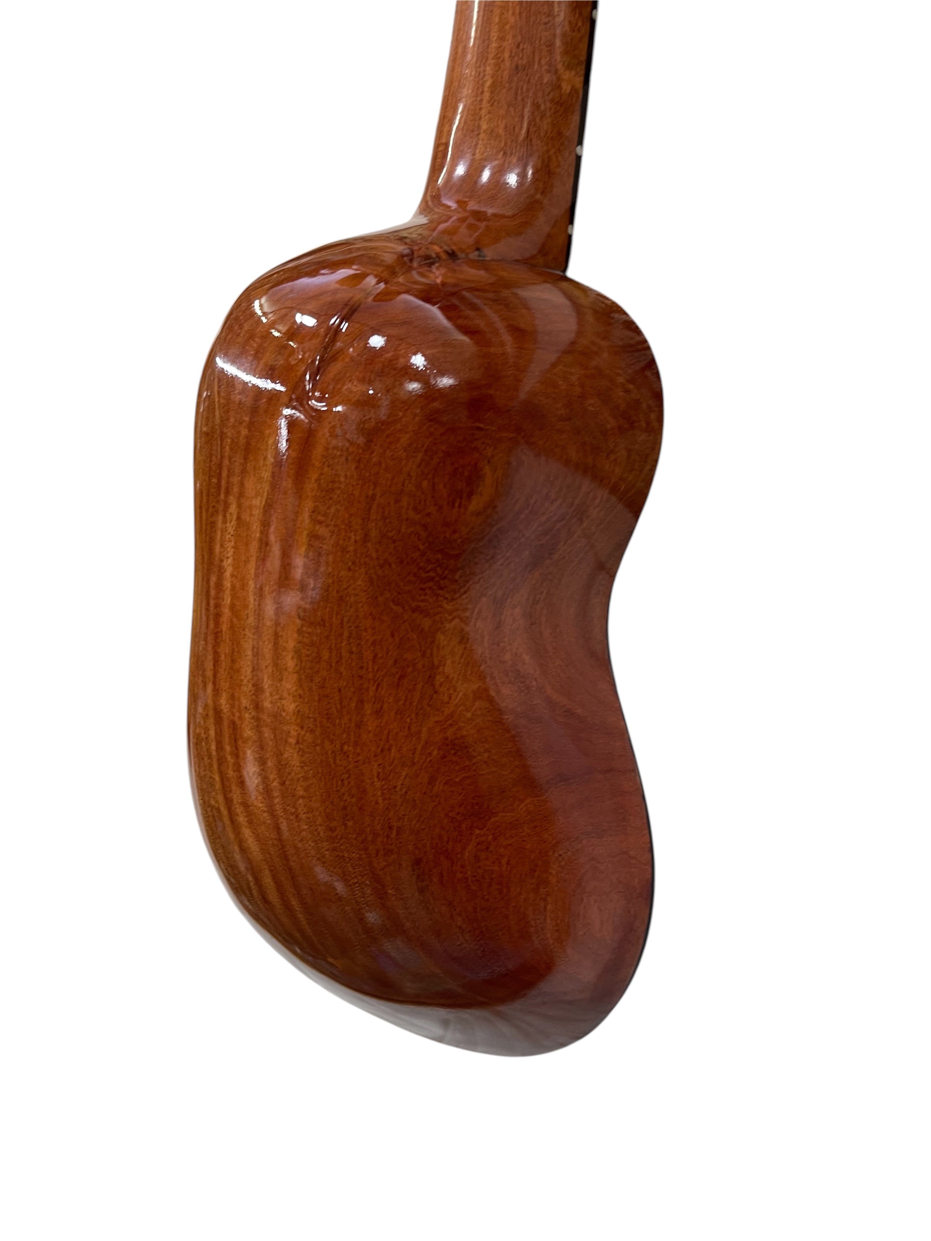 Professional Concert Charango | One-Piece Quina Quina, Ebony Fingerboard, Spruce Top