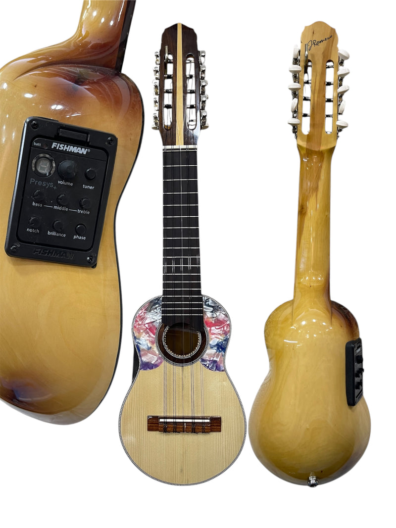 Electro-Acoustic Charangos