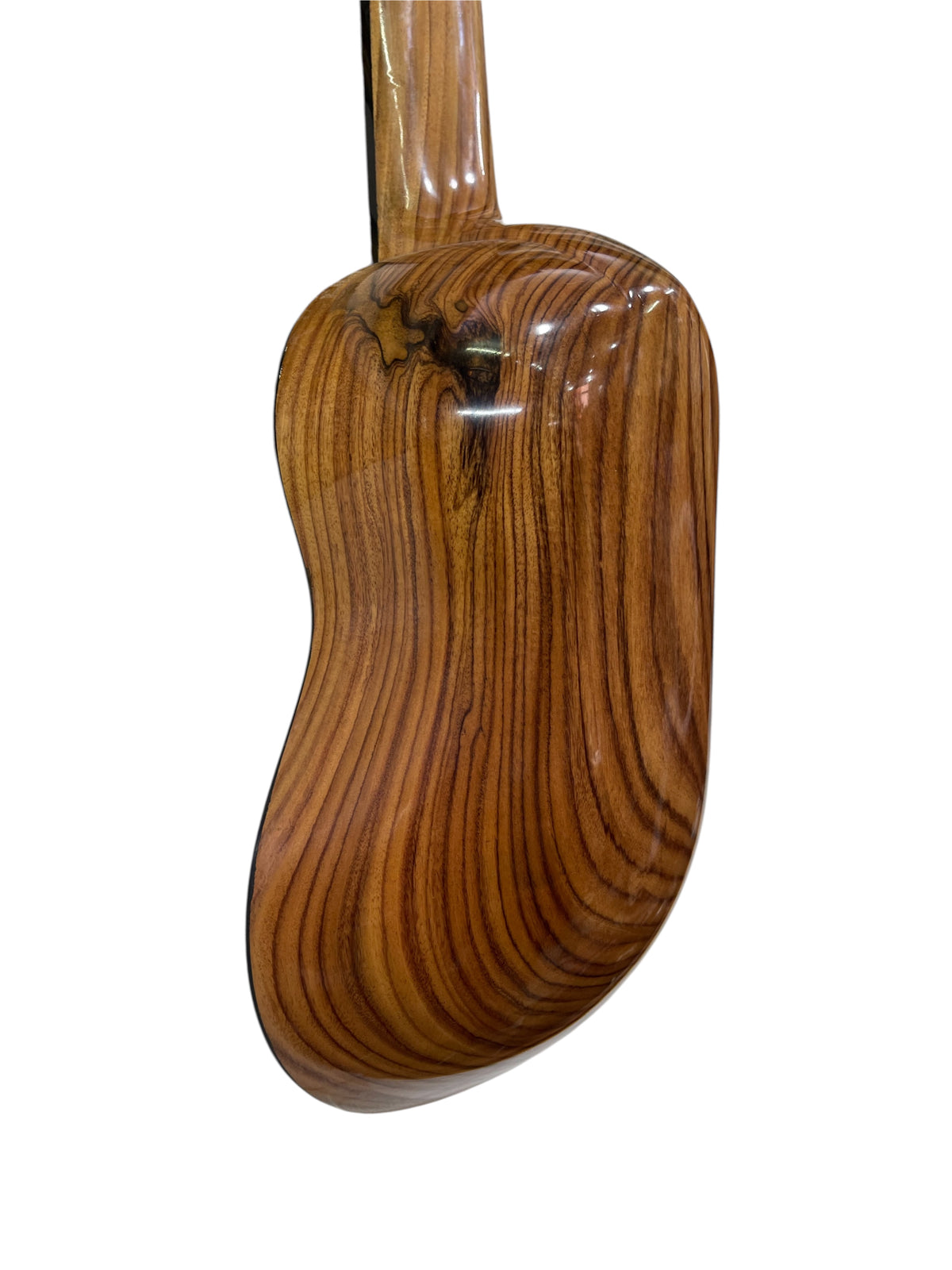 Professional Concert-Grade Bolivian Charango – Jacaranda & Ebony